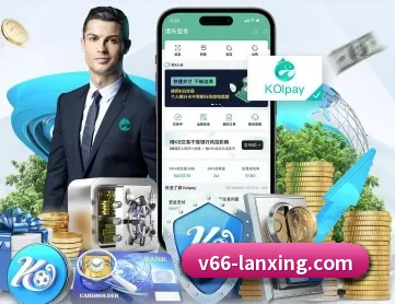 V66体育 APP 深度功能